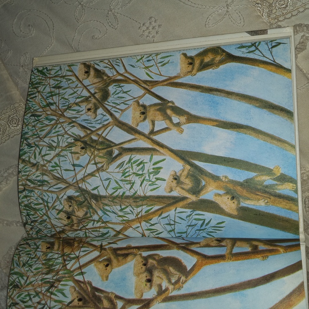 Vintage 1971 Bear Circus Hardcover Book by William Pene du Bois 42 Pages - Picture 10 of 16